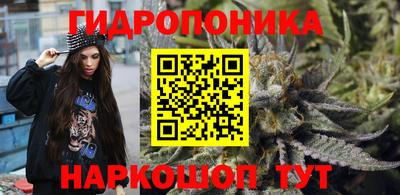ECSTASY Гудермес