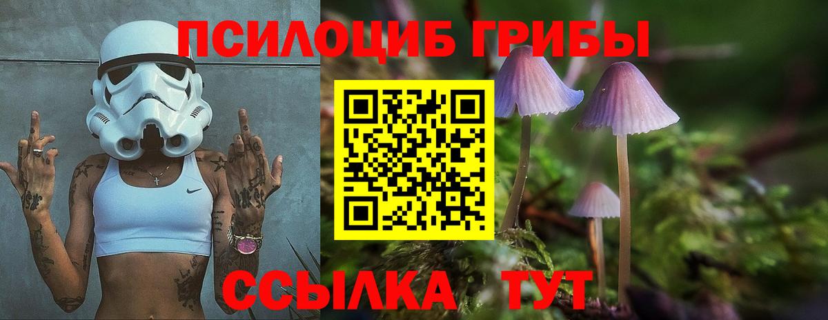 Вязьма  Галлюциногенные грибы мухоморы  Вход с VPN  Галлюциногенные грибы GOLDEN TEACHER 